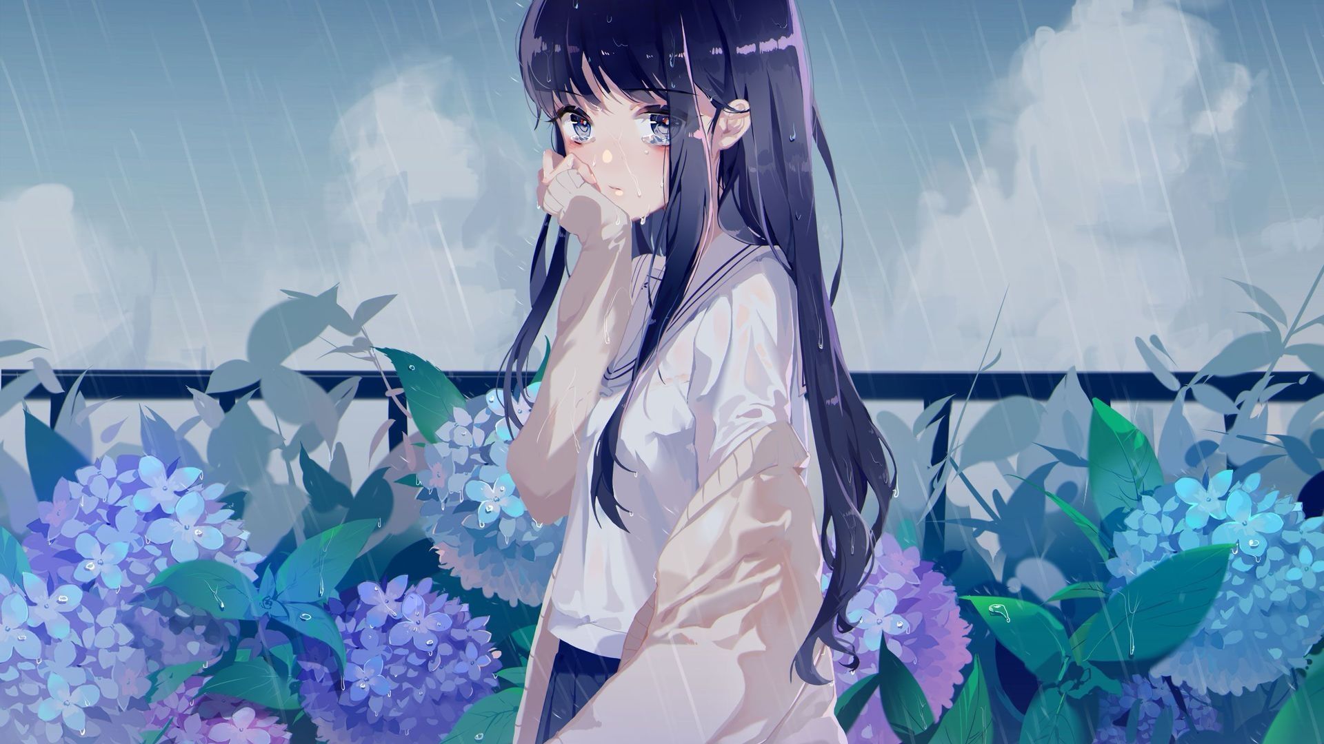 南柯渡 封面